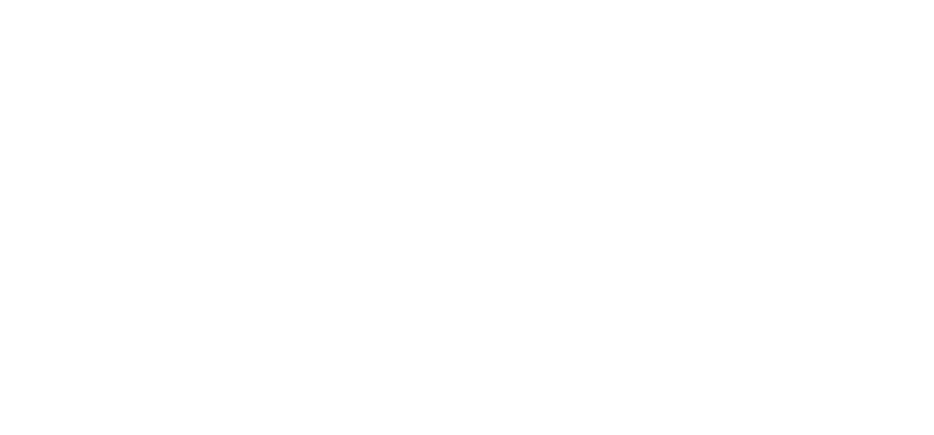 logoSgsoft